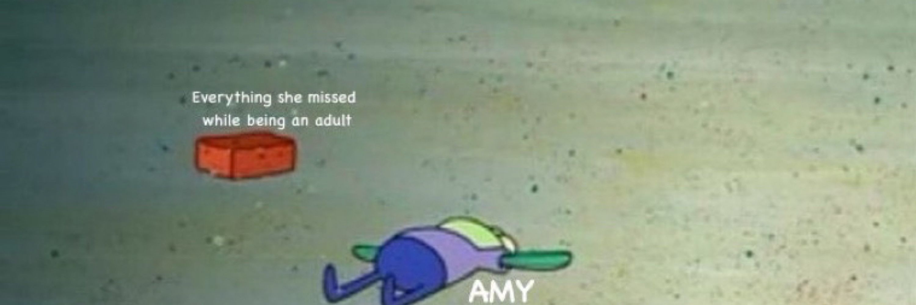 amy || your friendly neighborhood birb