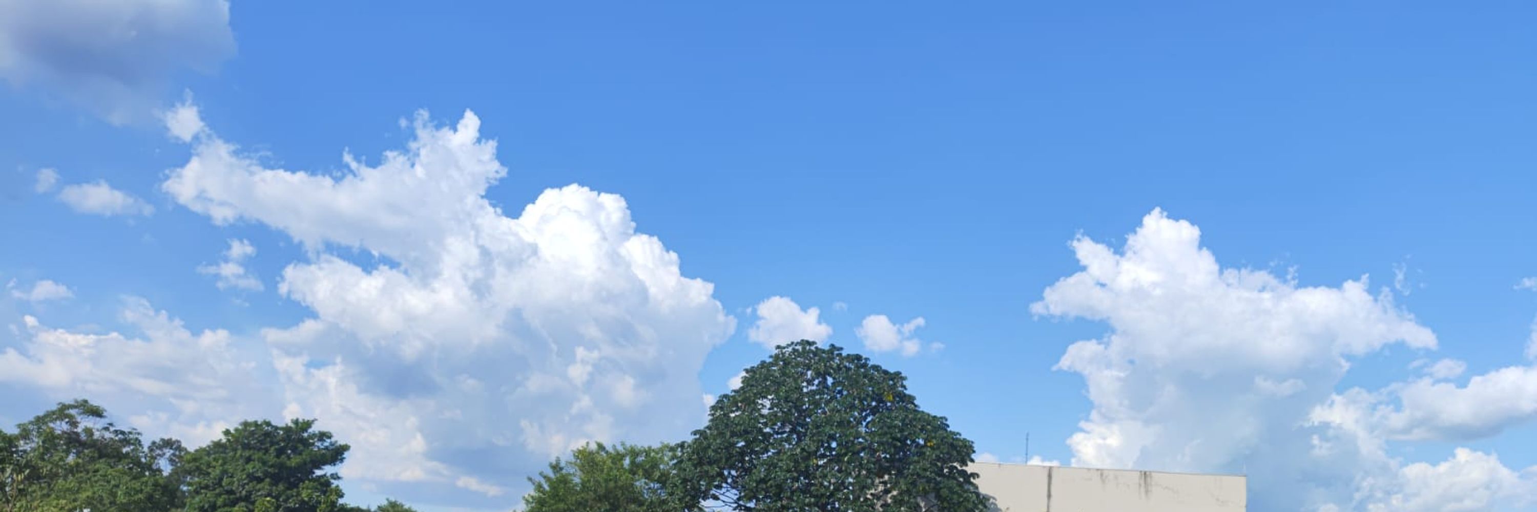 Scrobble To Sky