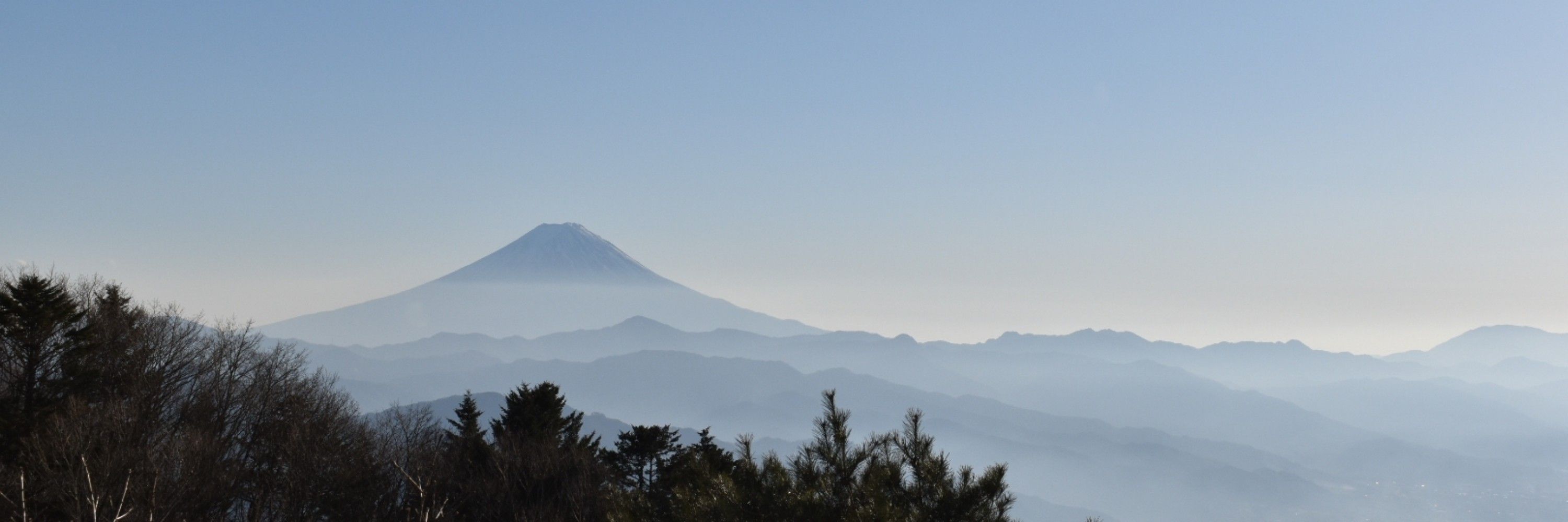 上原 翔