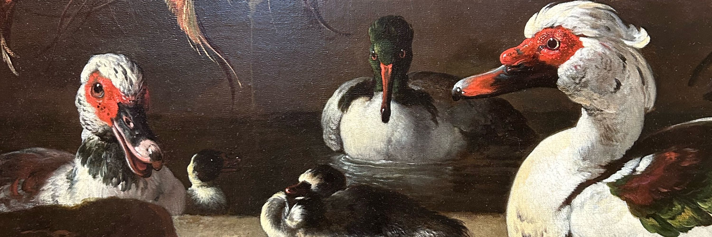 Charlotte Waite-Marsden
