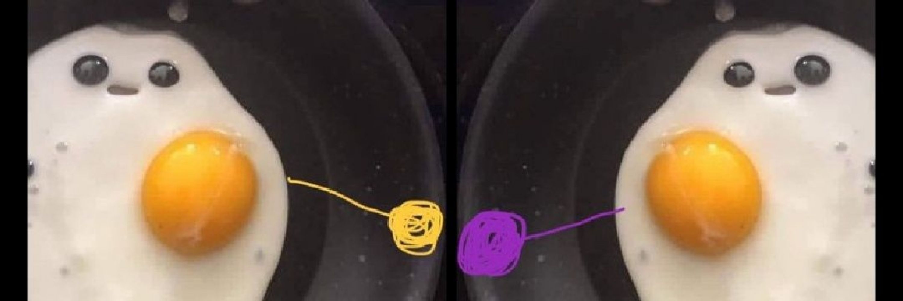 M̴oonflower ✨ We're on our own side 