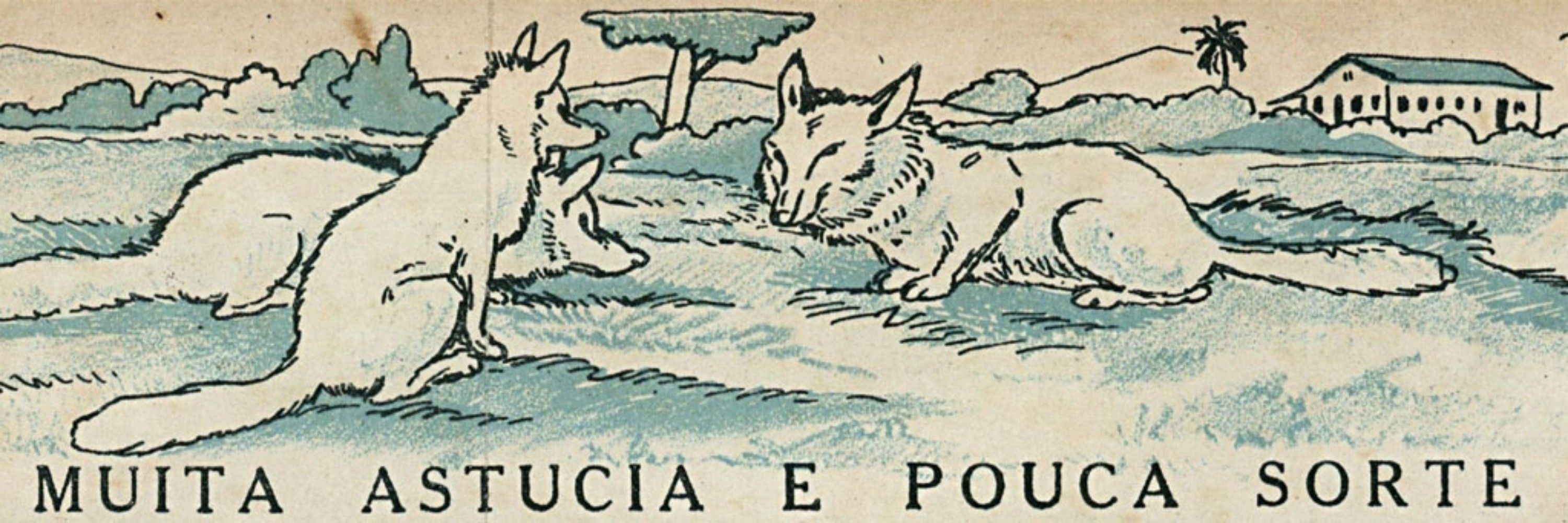 Teu Pai Aquele Carecoide