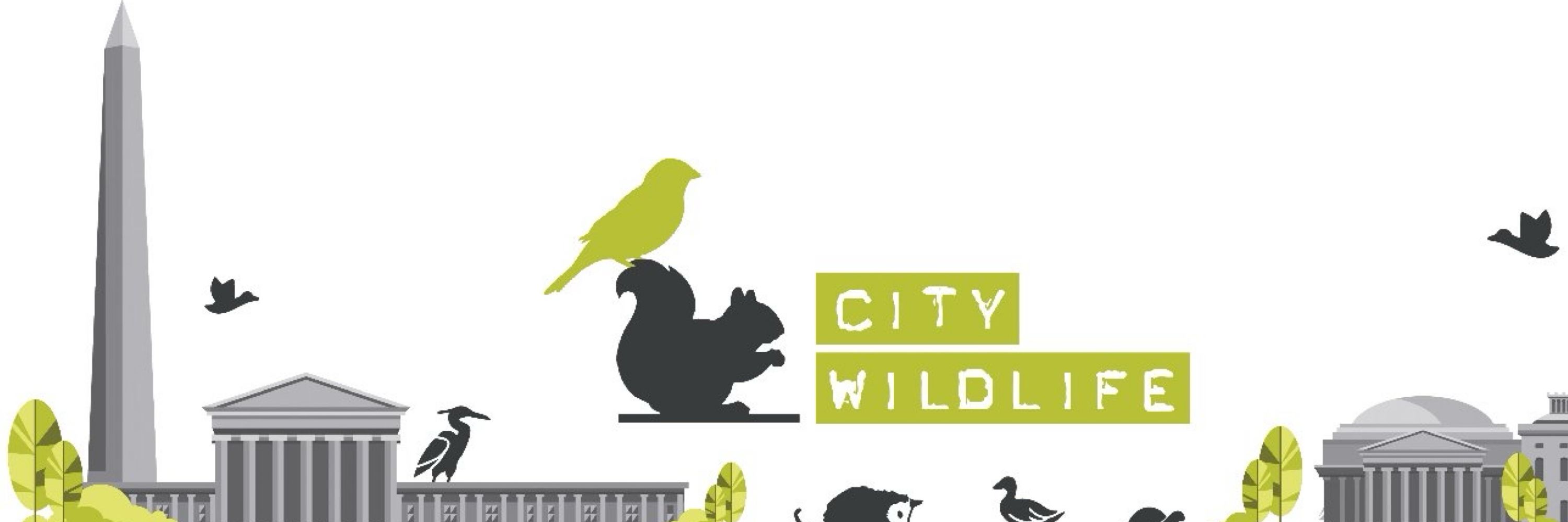 City Wildlife
