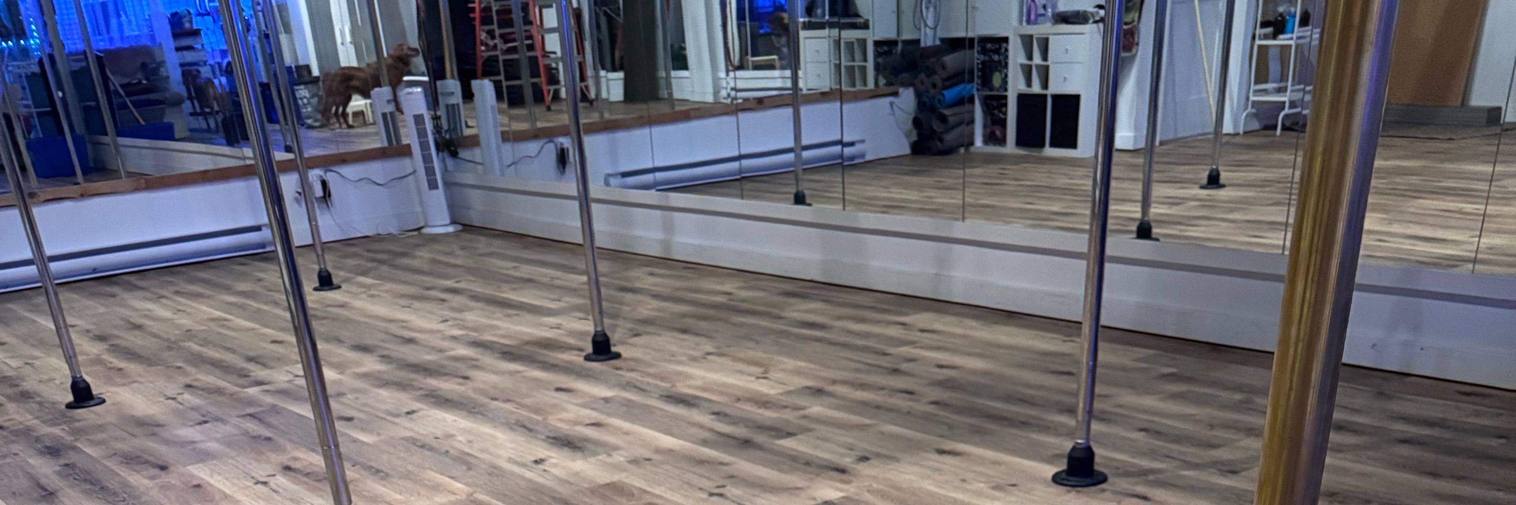 Pole Trix