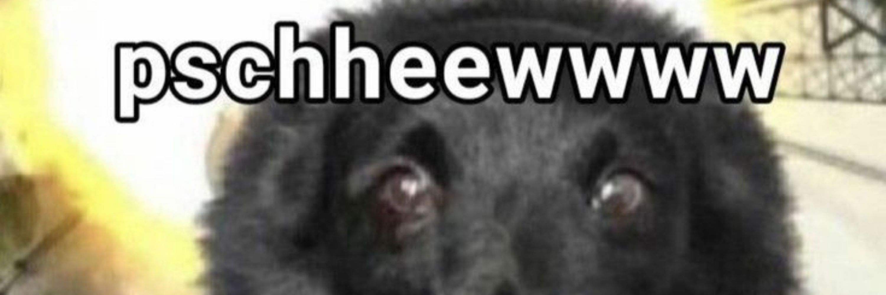 LaguRrrr <⁠(⁠￣⁠︶⁠￣⁠)⁠>