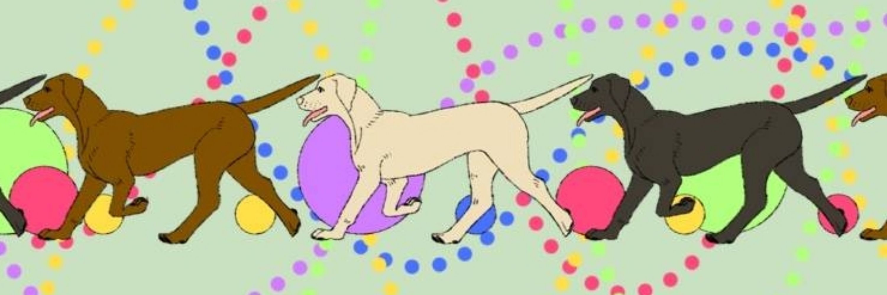 もこもこ山
