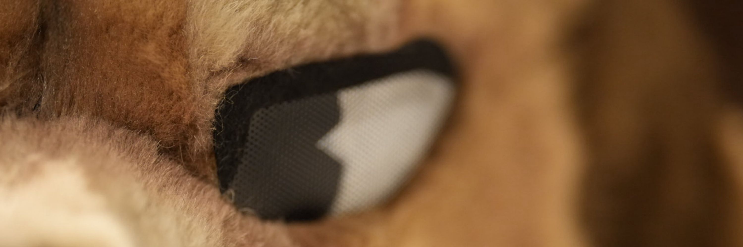 Critter! ΘΔ& (it/its, 🔞)