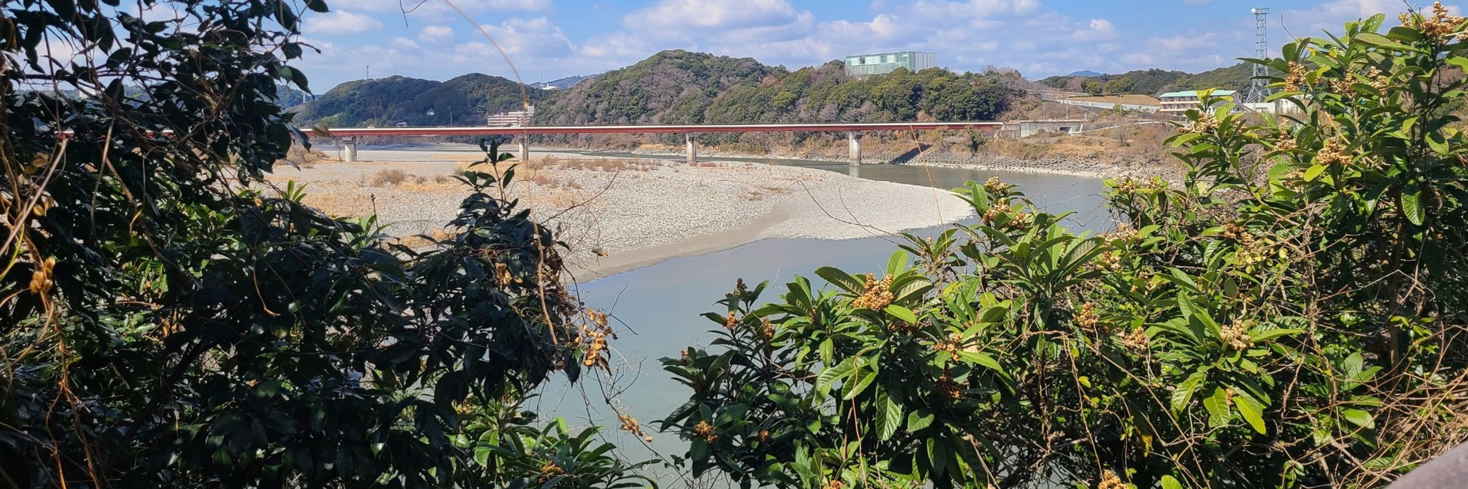 宜虎(平助)[雀]【ﾁｭﾝﾁｭﾝ】