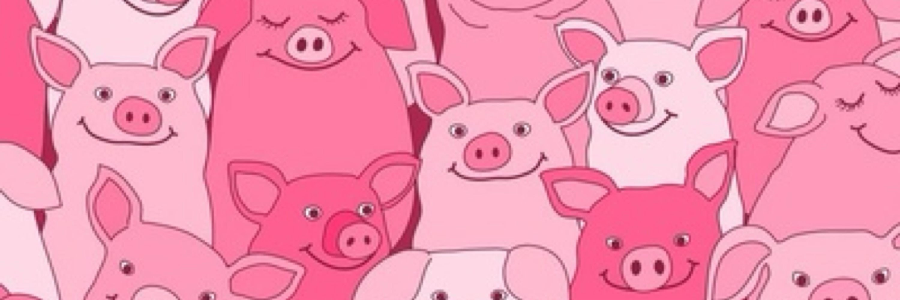 🐷Coach Mutt