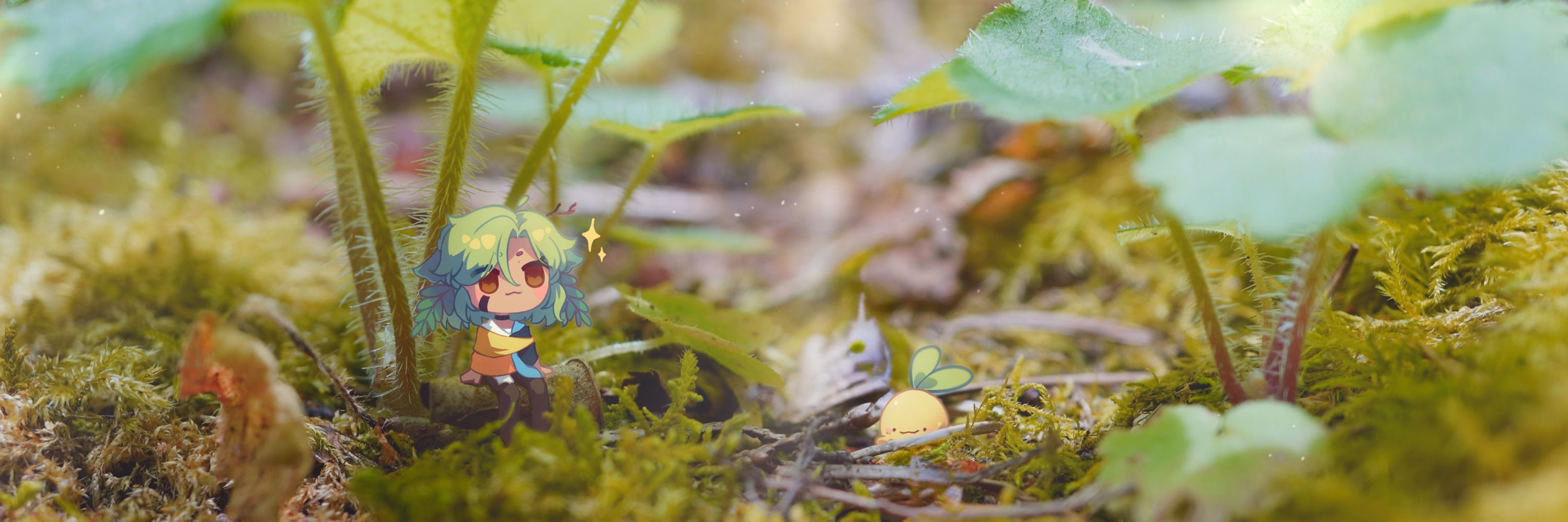 🌿plantsy
