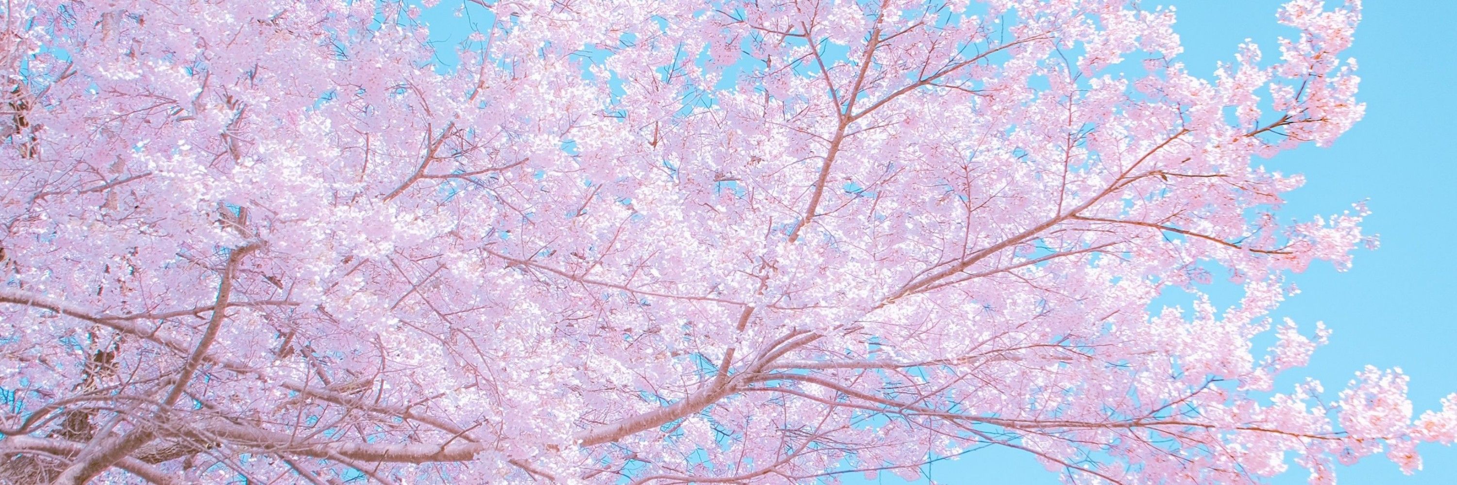 はなるん