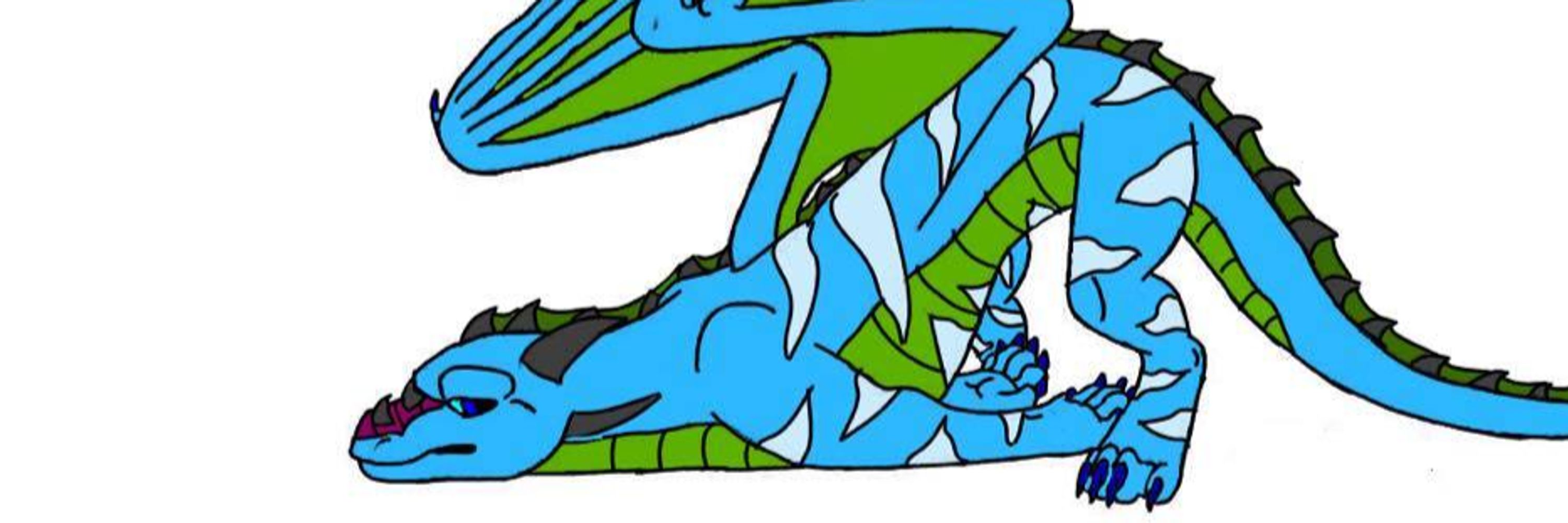 Silly Derg