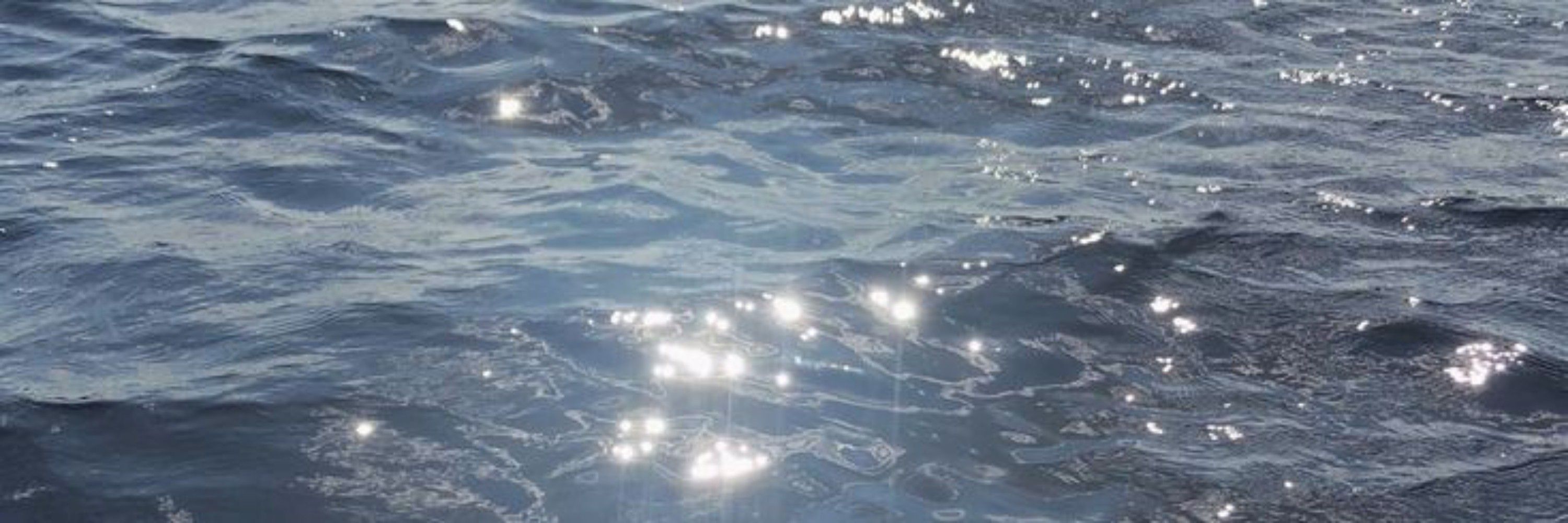 𝒶𝓁𝒾𝒶☄️