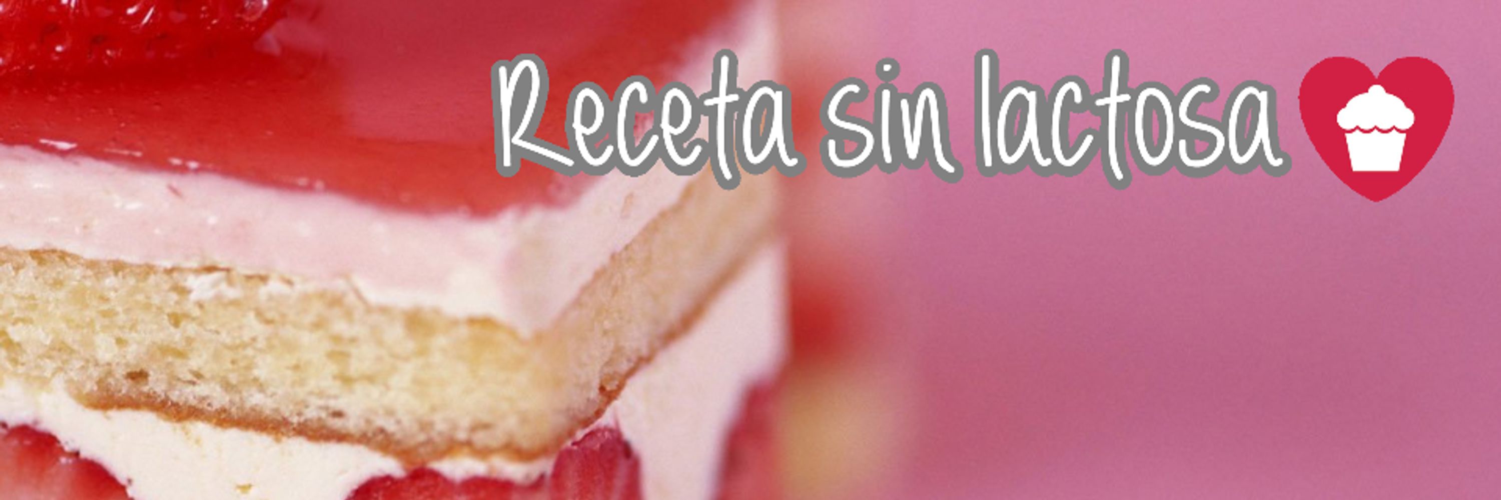 Recetas Sin Lactosa