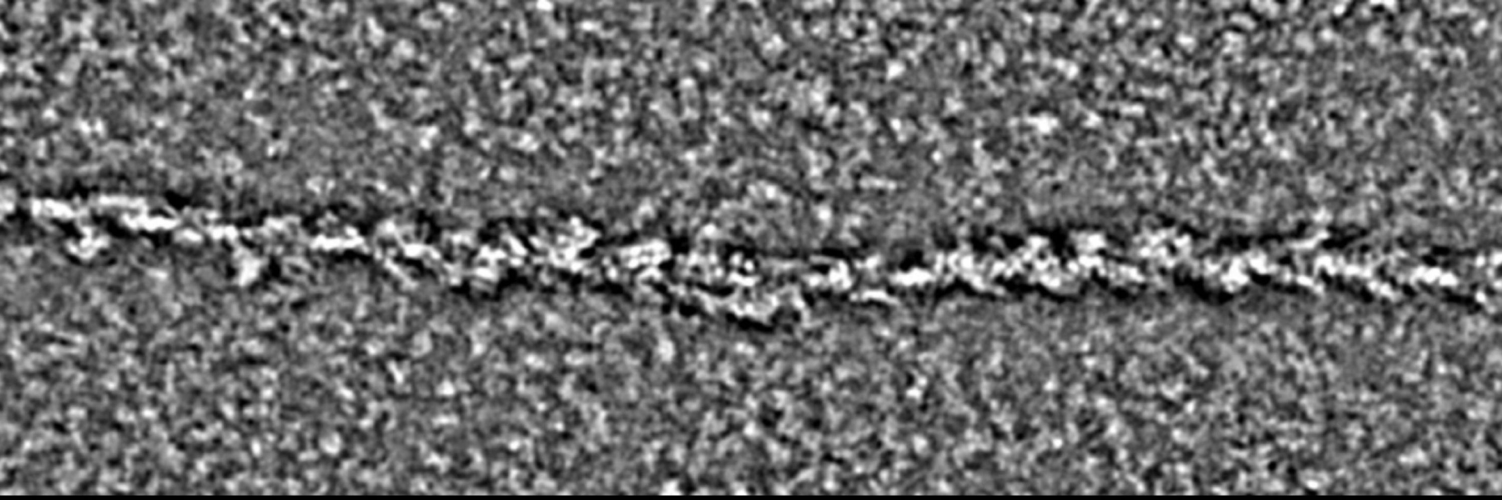 Chinthalapudi Lab