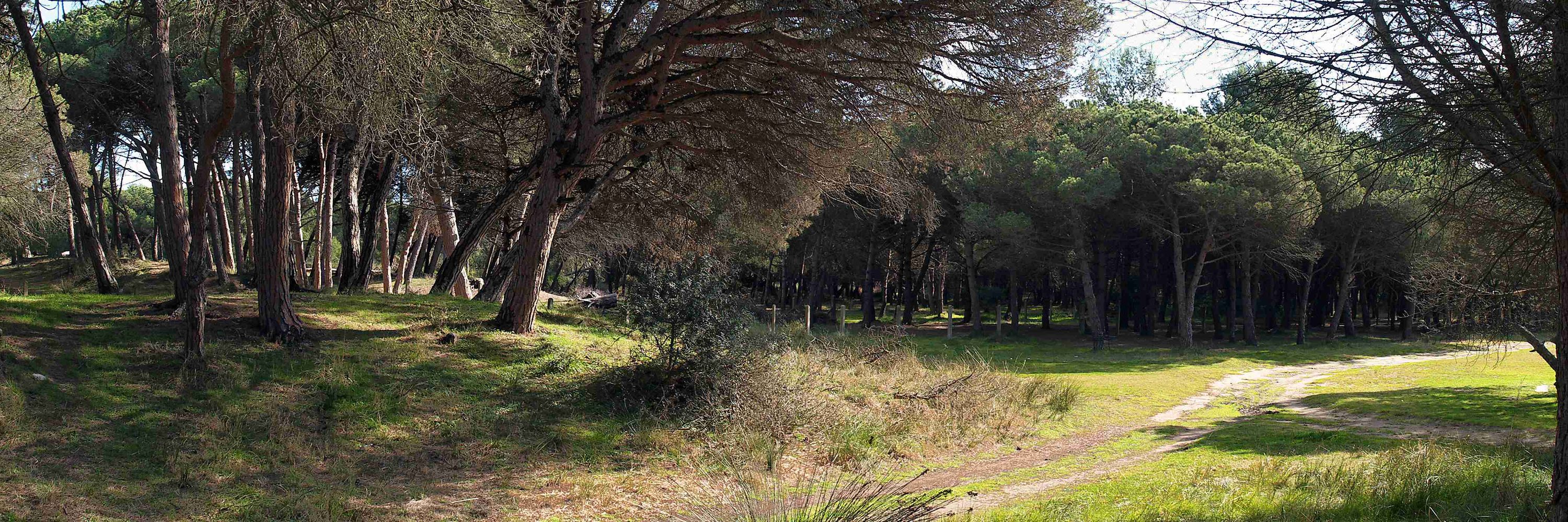 Rutes al Prat i al Delta del Llobregat