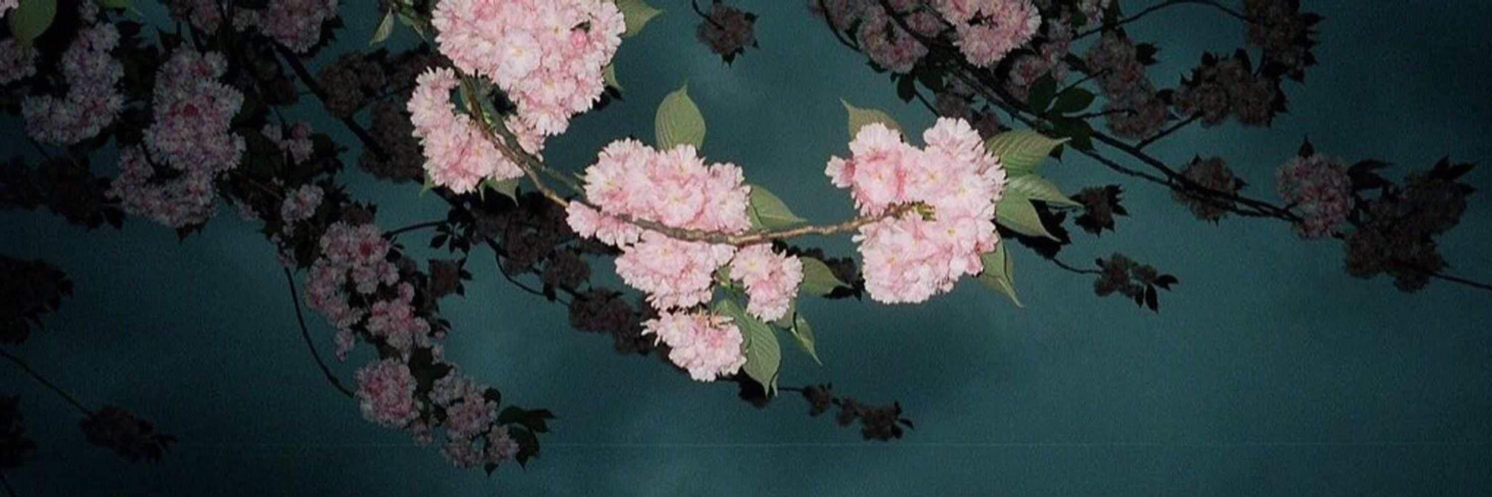 𝒦𝒾𝓉𝓉𝑒𝓃 ❥