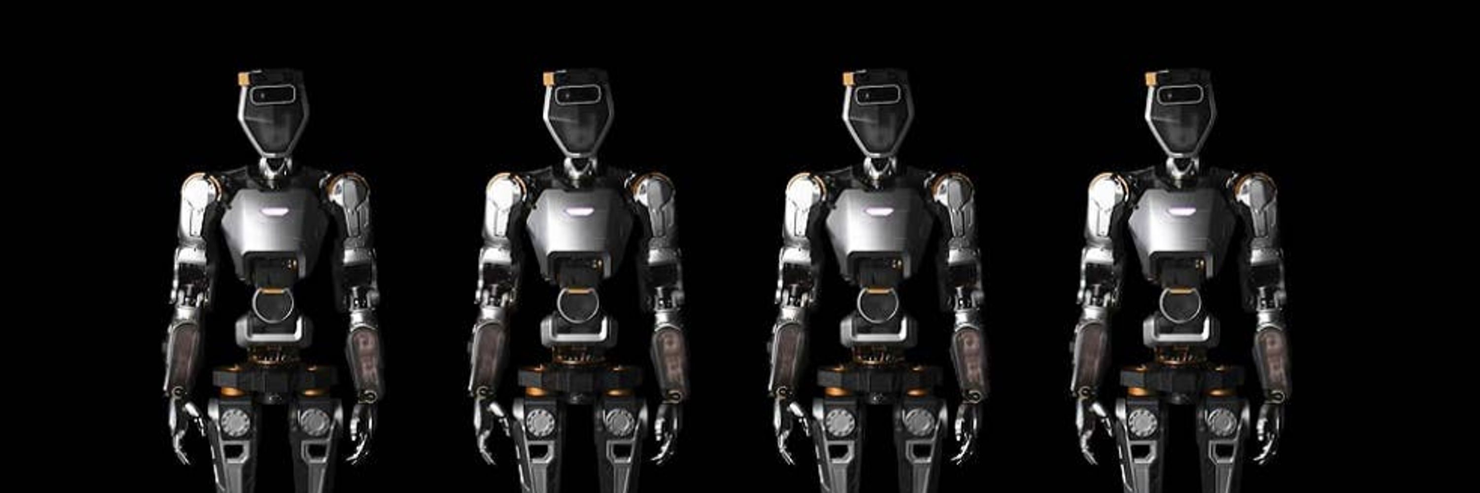 The Robo Valley