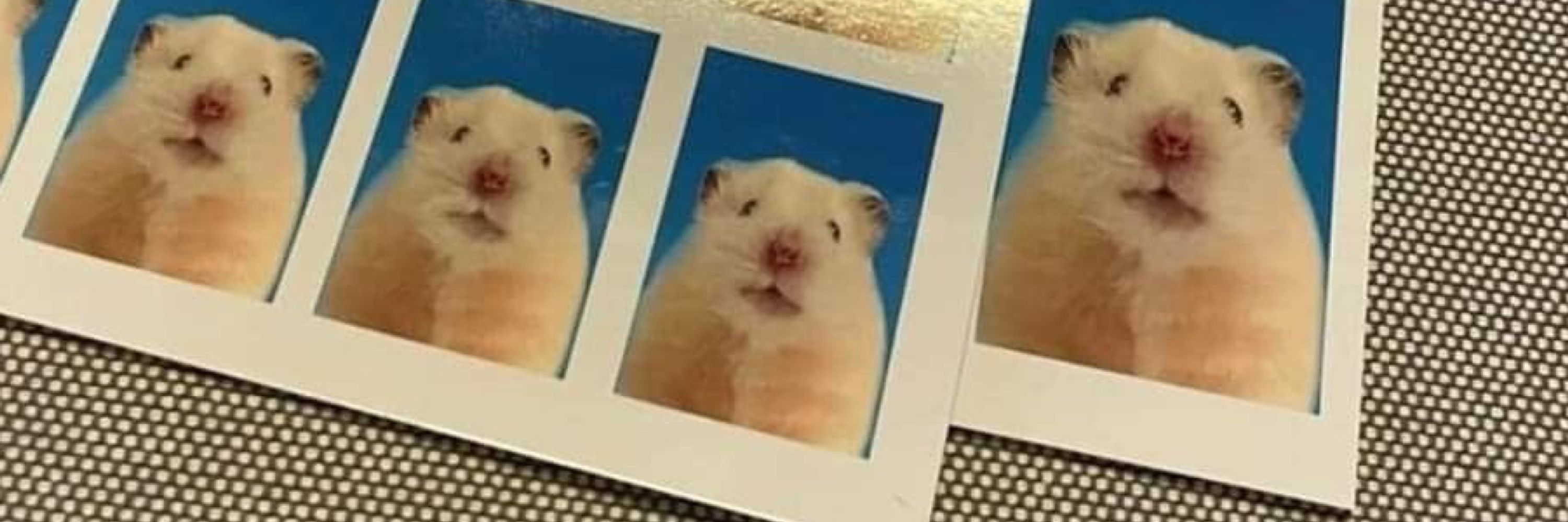 ちろ