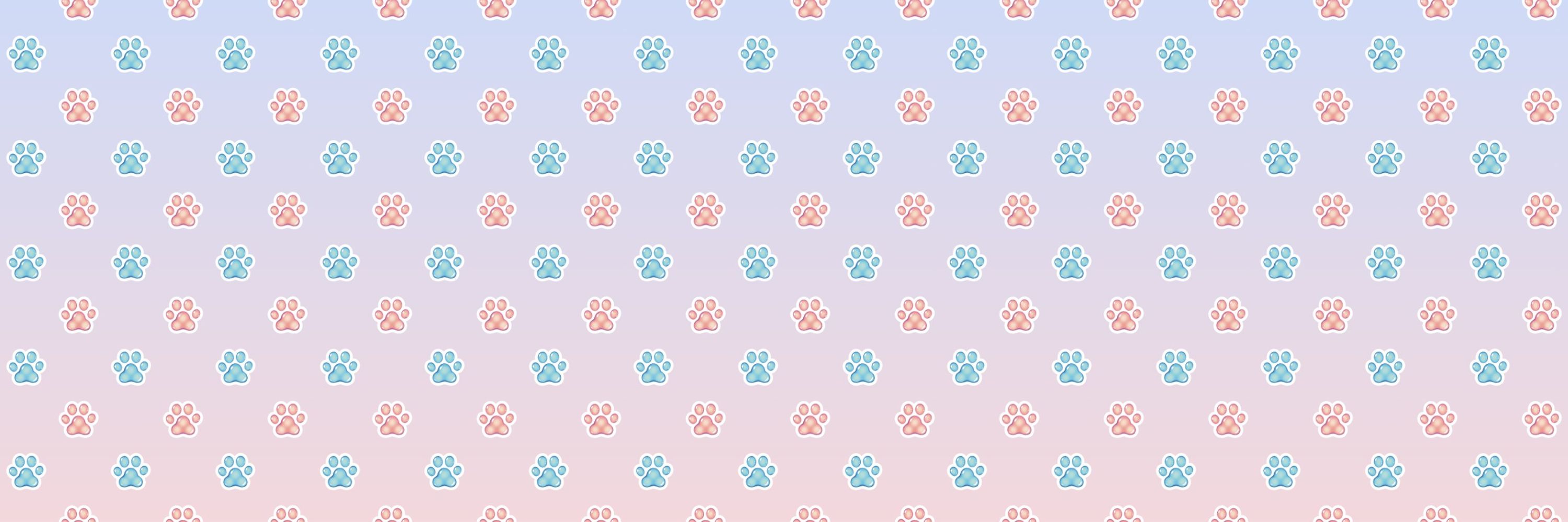 Kita