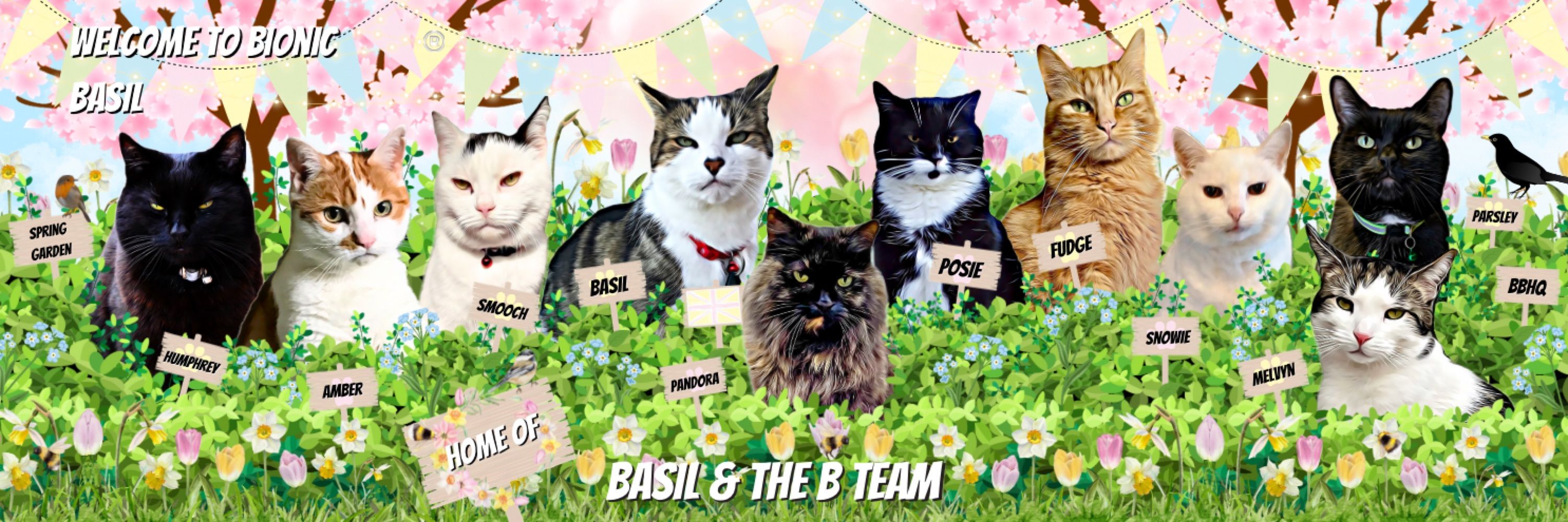 Basil and The B Team