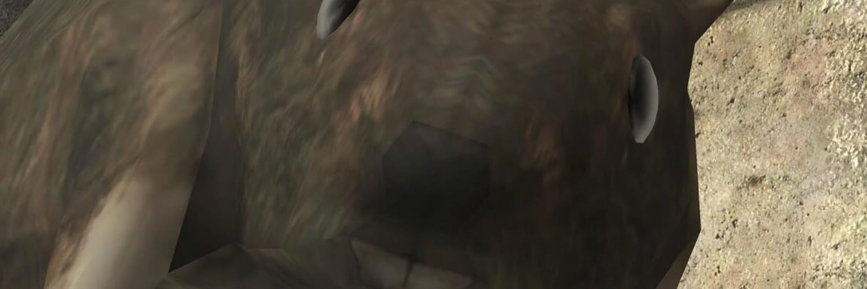 Forerunner Coreboi