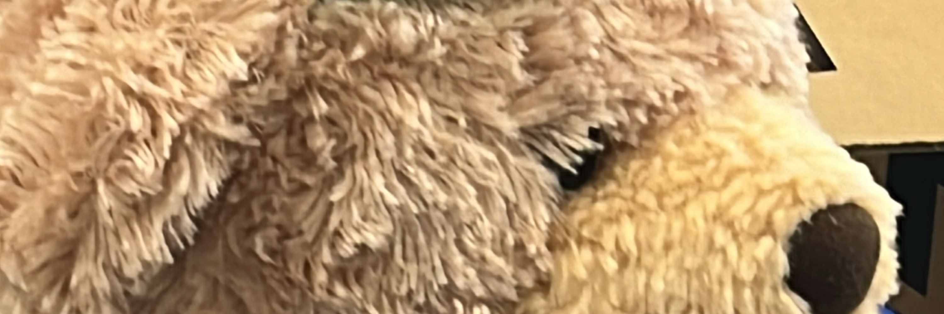 ﾆｬｵｯ