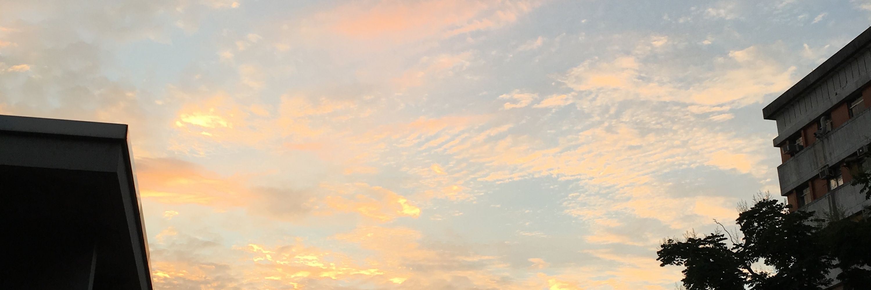 ユキヲ