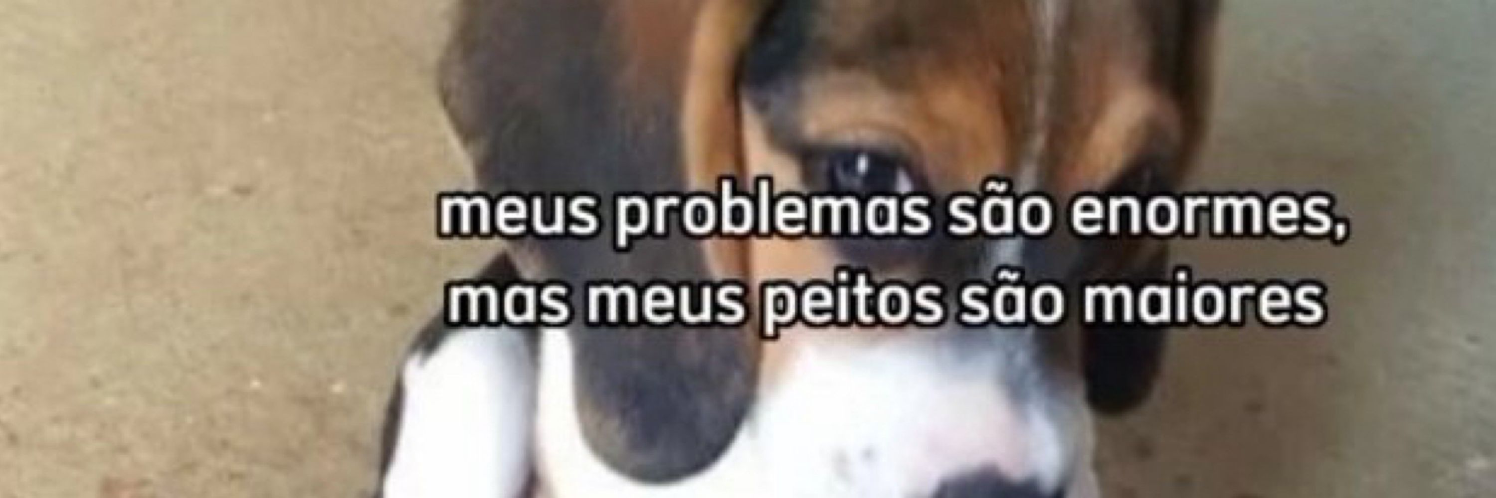 luísa 