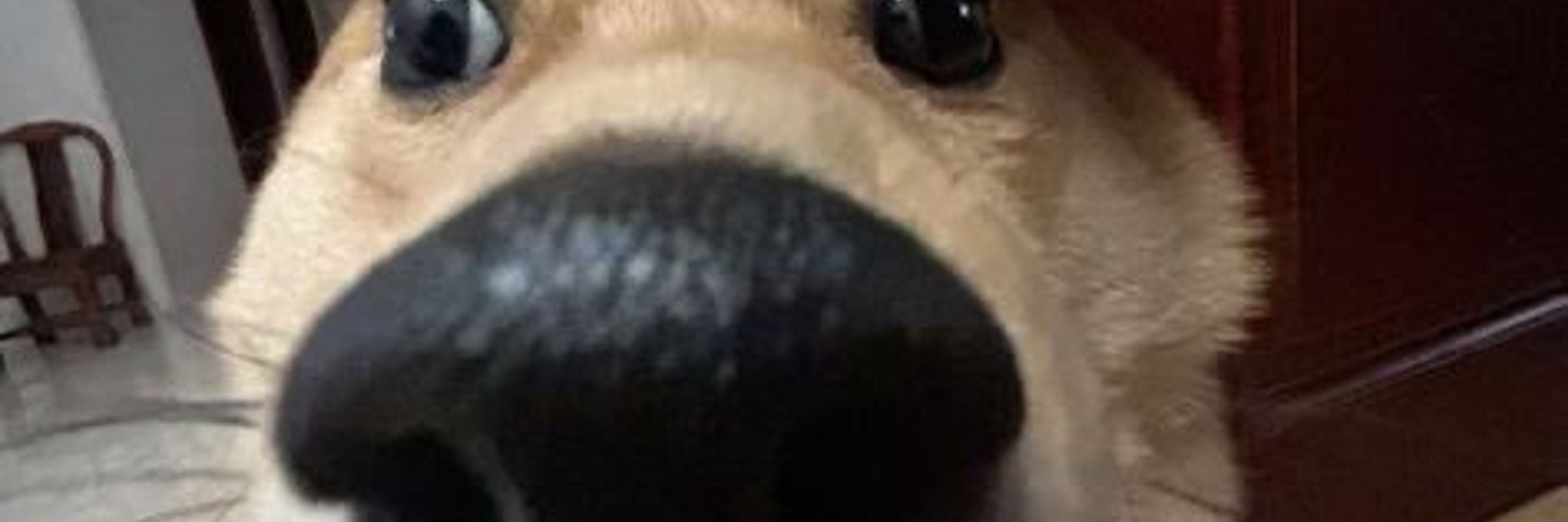 Yaco