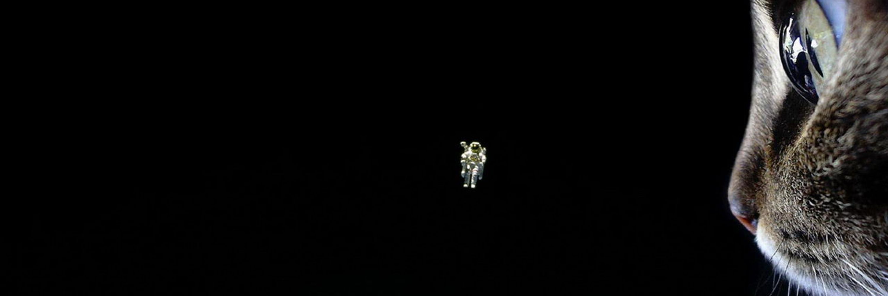 DrPrincessTheSpaceCat