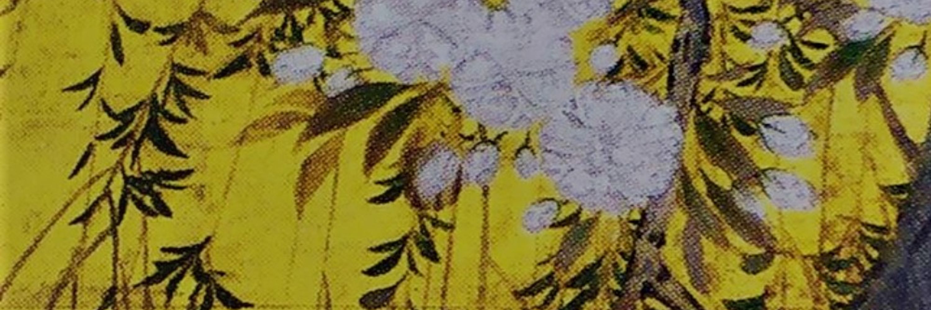 かゆき