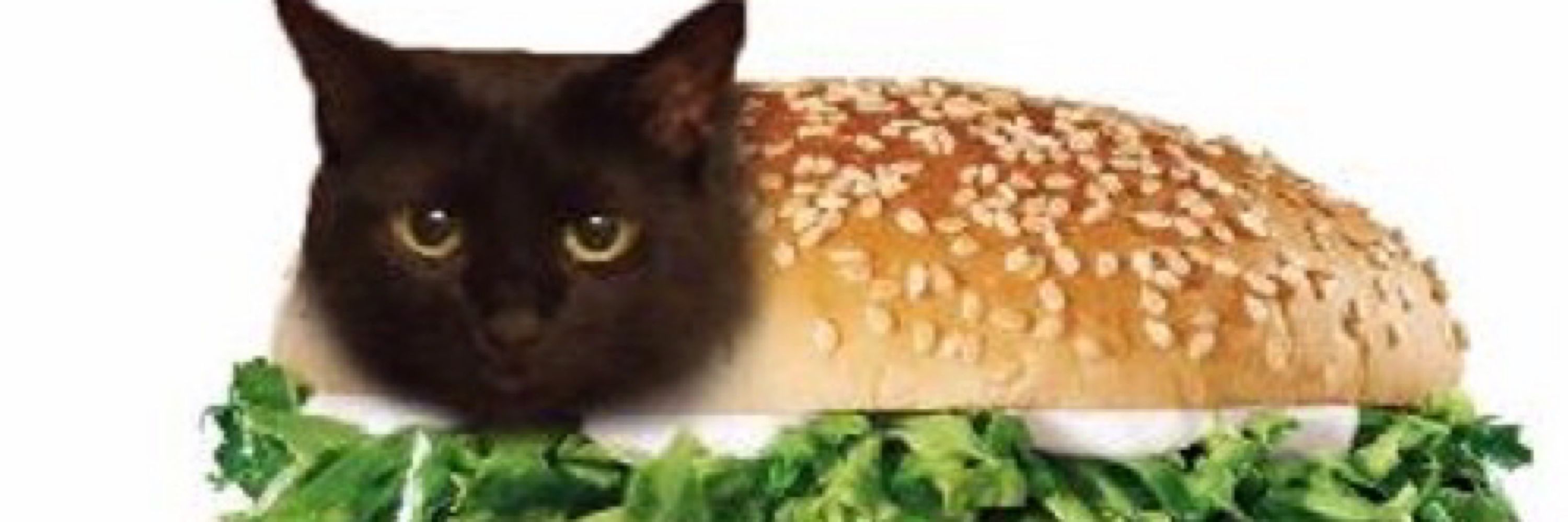 Kitty