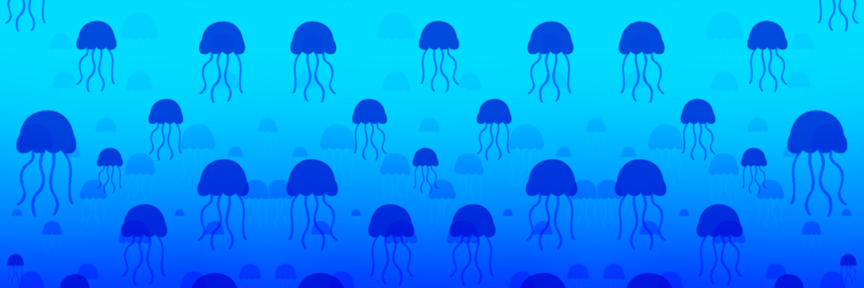 Jelly