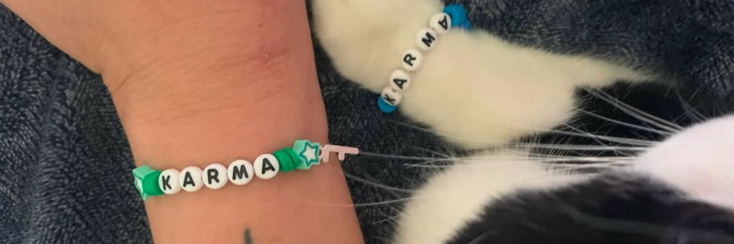 Katy-Kat