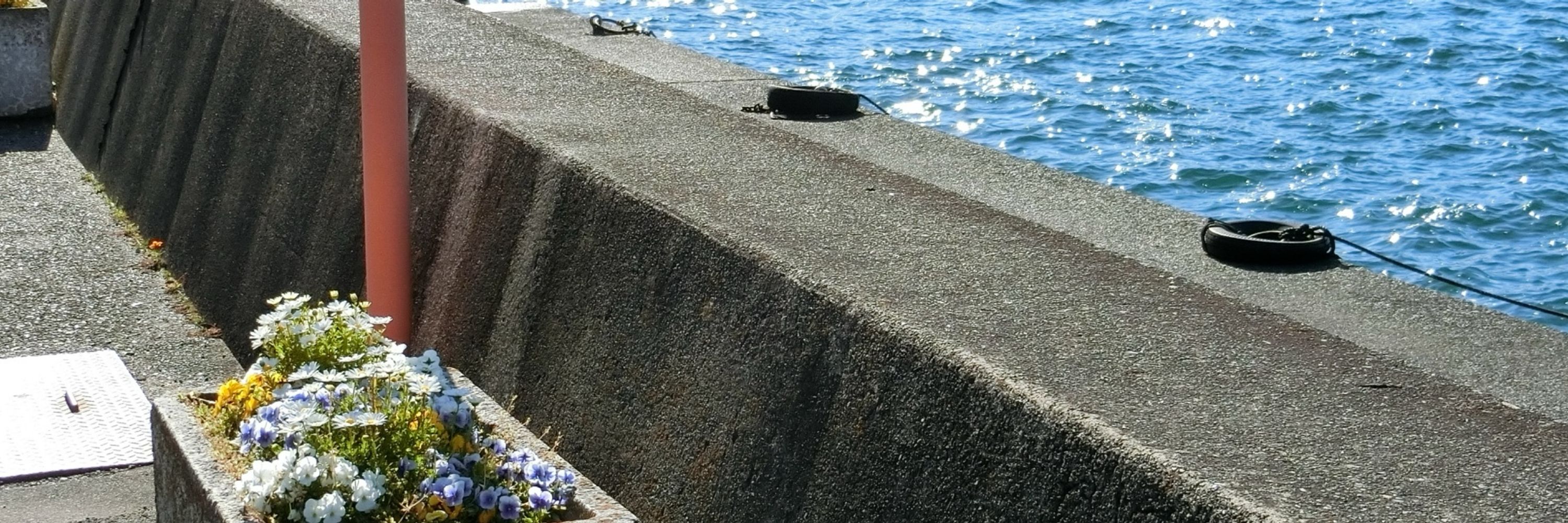 にぎりめし
