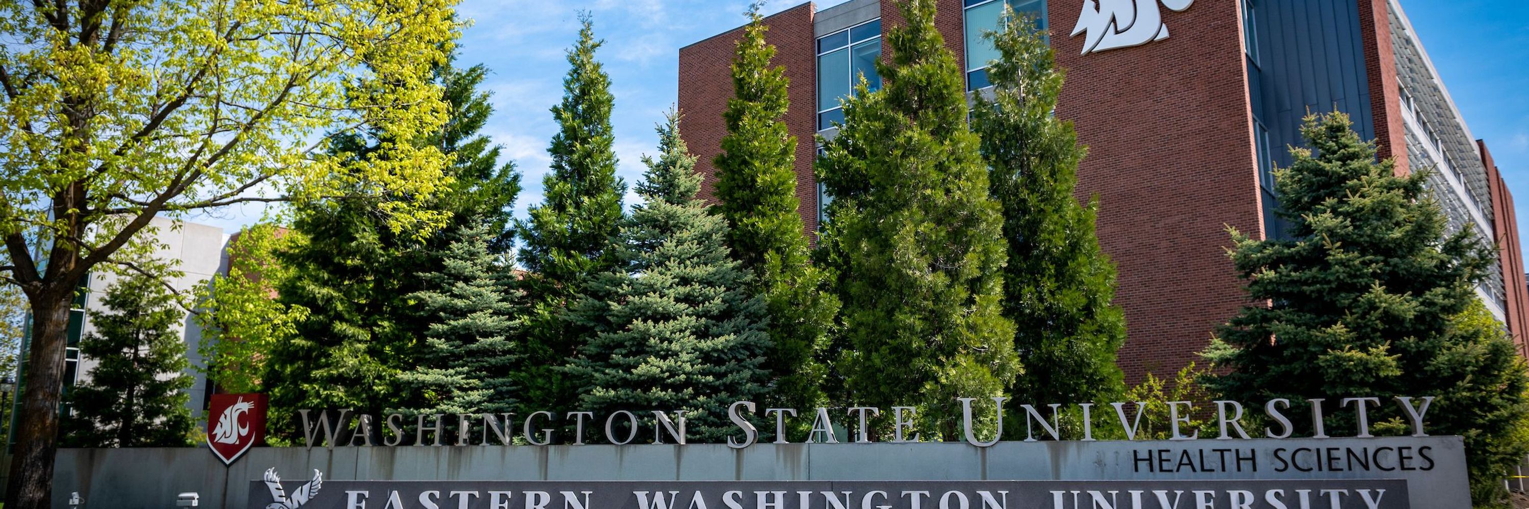 WSU College of Nursing 