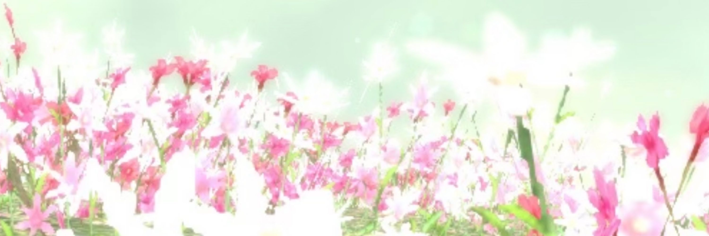 ピア
