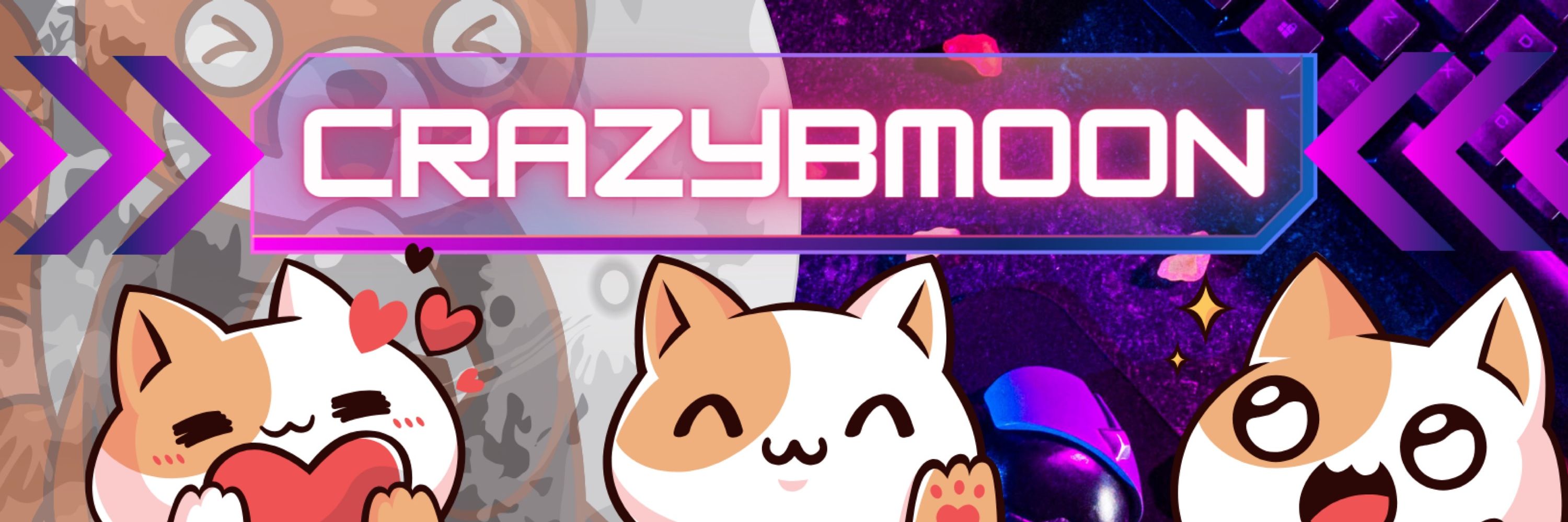 Crazybmoon