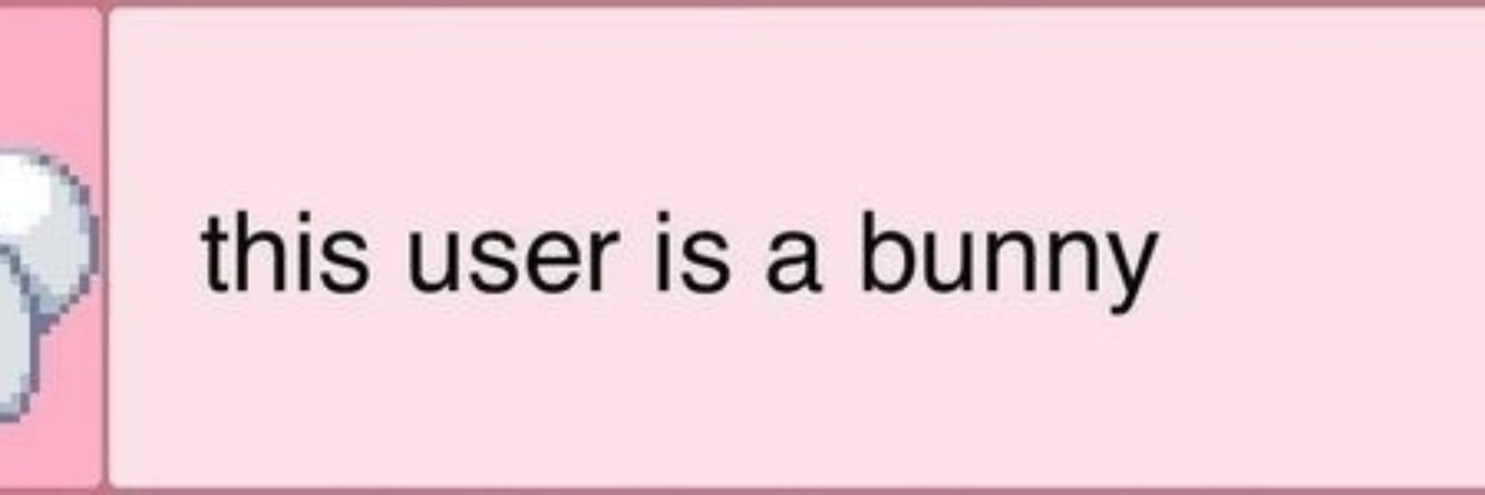 bun🩷