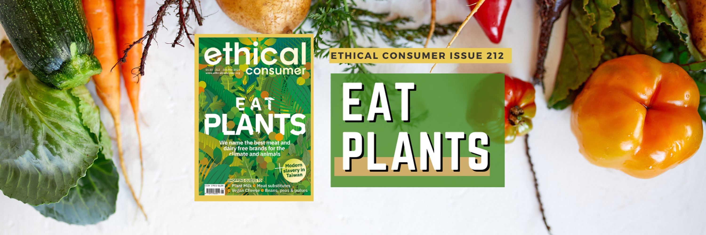 Ethical Consumer