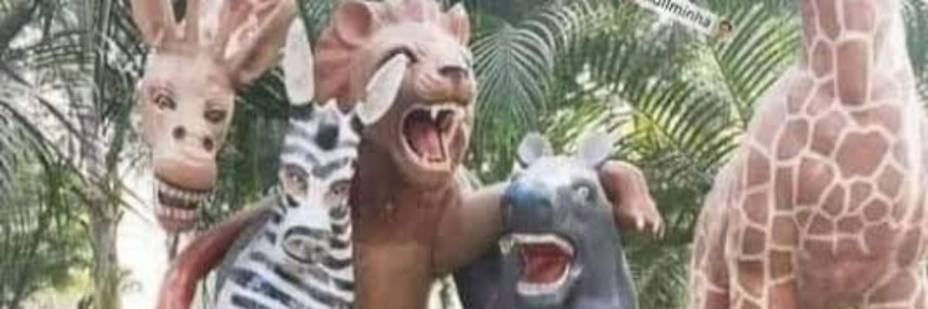 Irmão do neto 