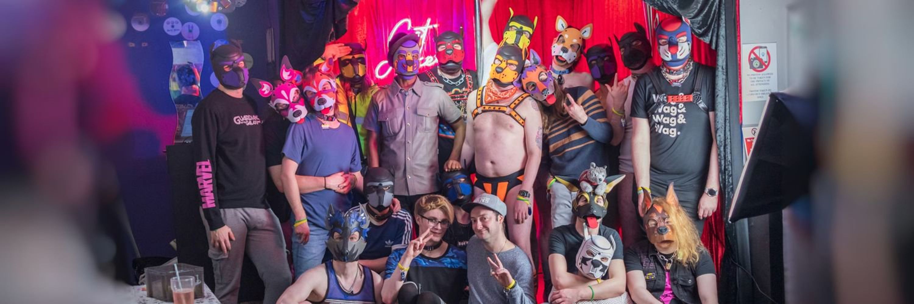 Pawz Out NCL