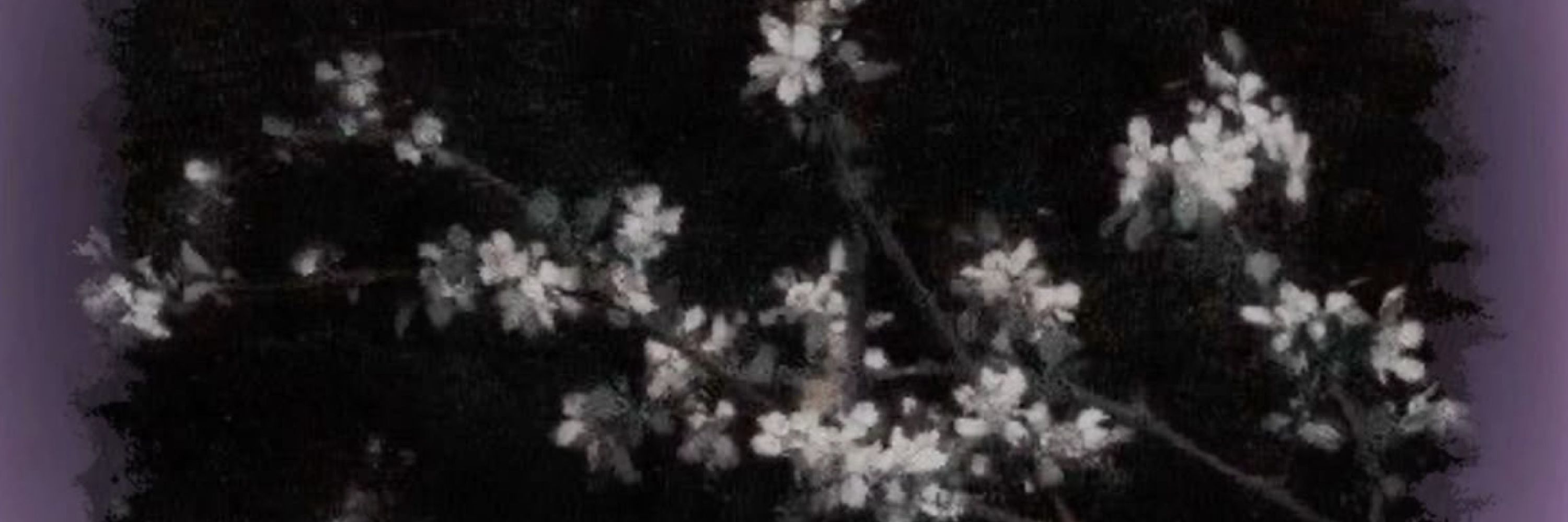 ♱ ⋆⁺‧₊aly₊‧⁺⋆ ♱