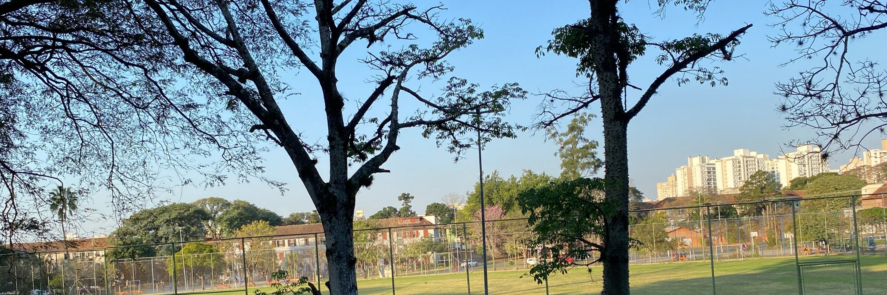 Peagá ☘️