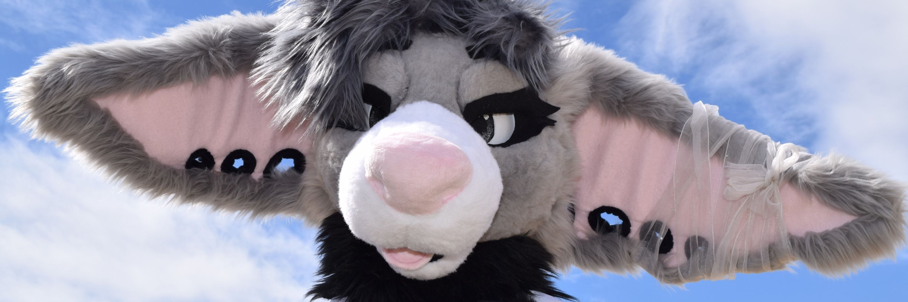 SilverWuff