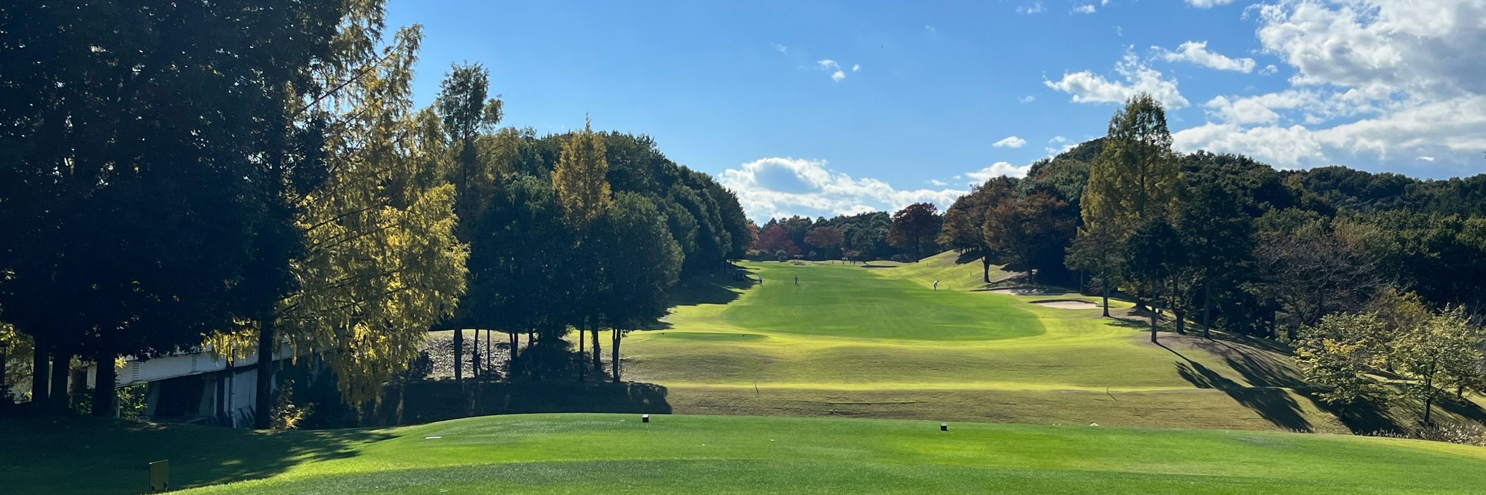 ザ・真島ダボ⛳️ゴルフWEB運営中