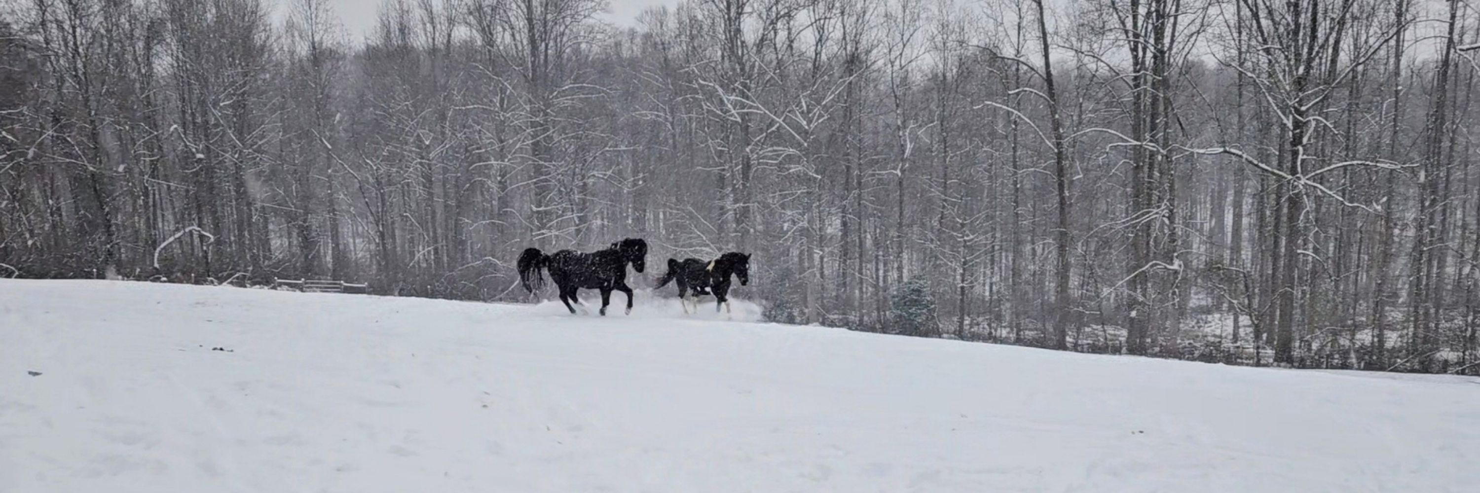 Heart of Riding, LLC
