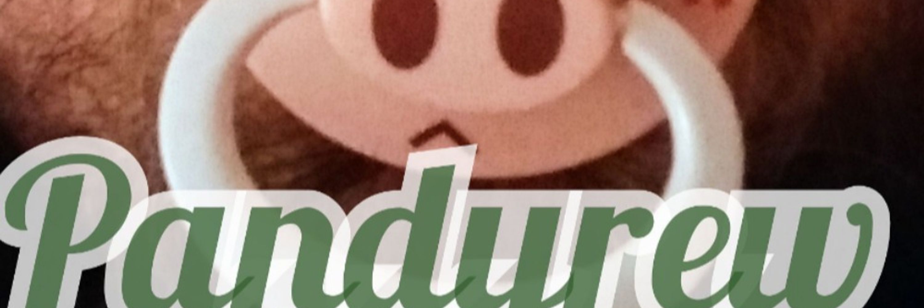 Pandy