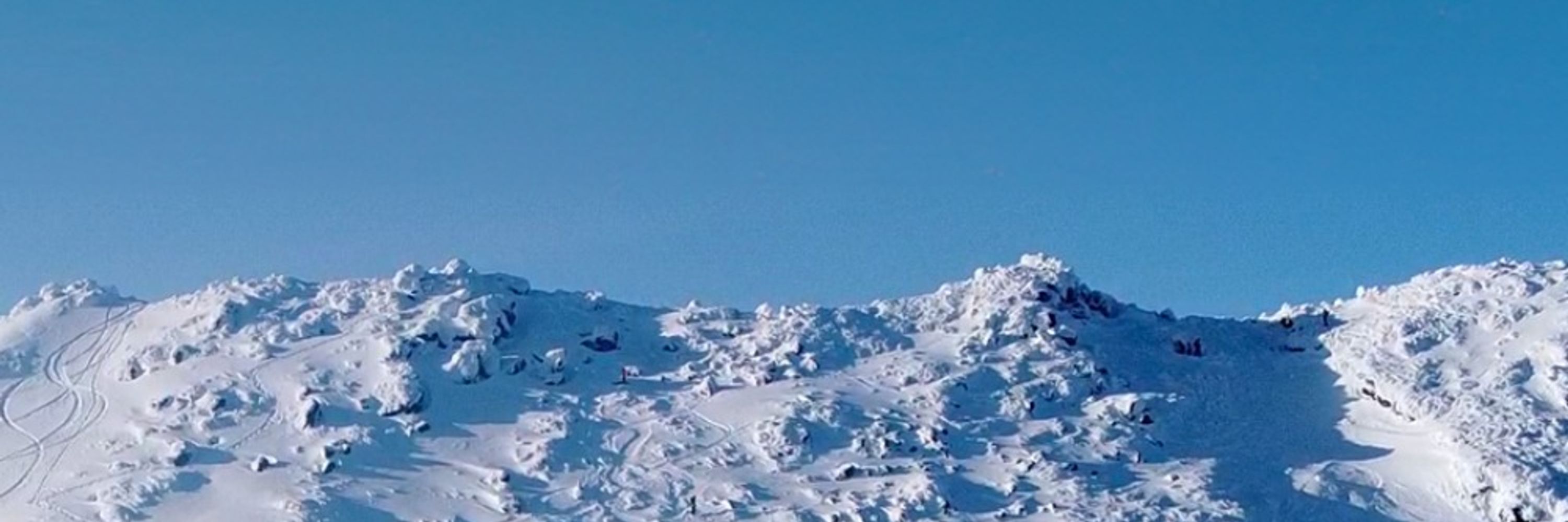 winteroptix